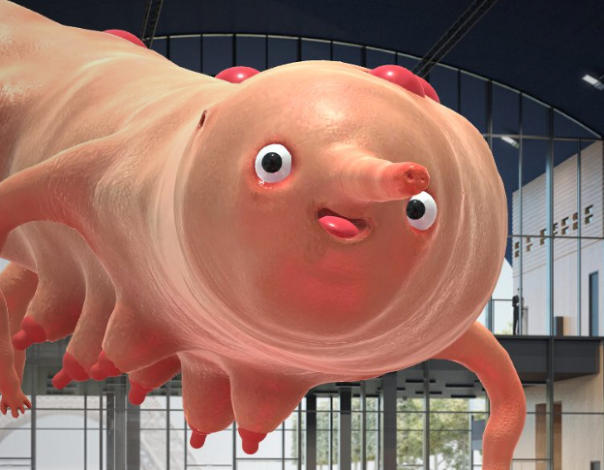 Exposição Anima+Games 2022 chega à são paulo